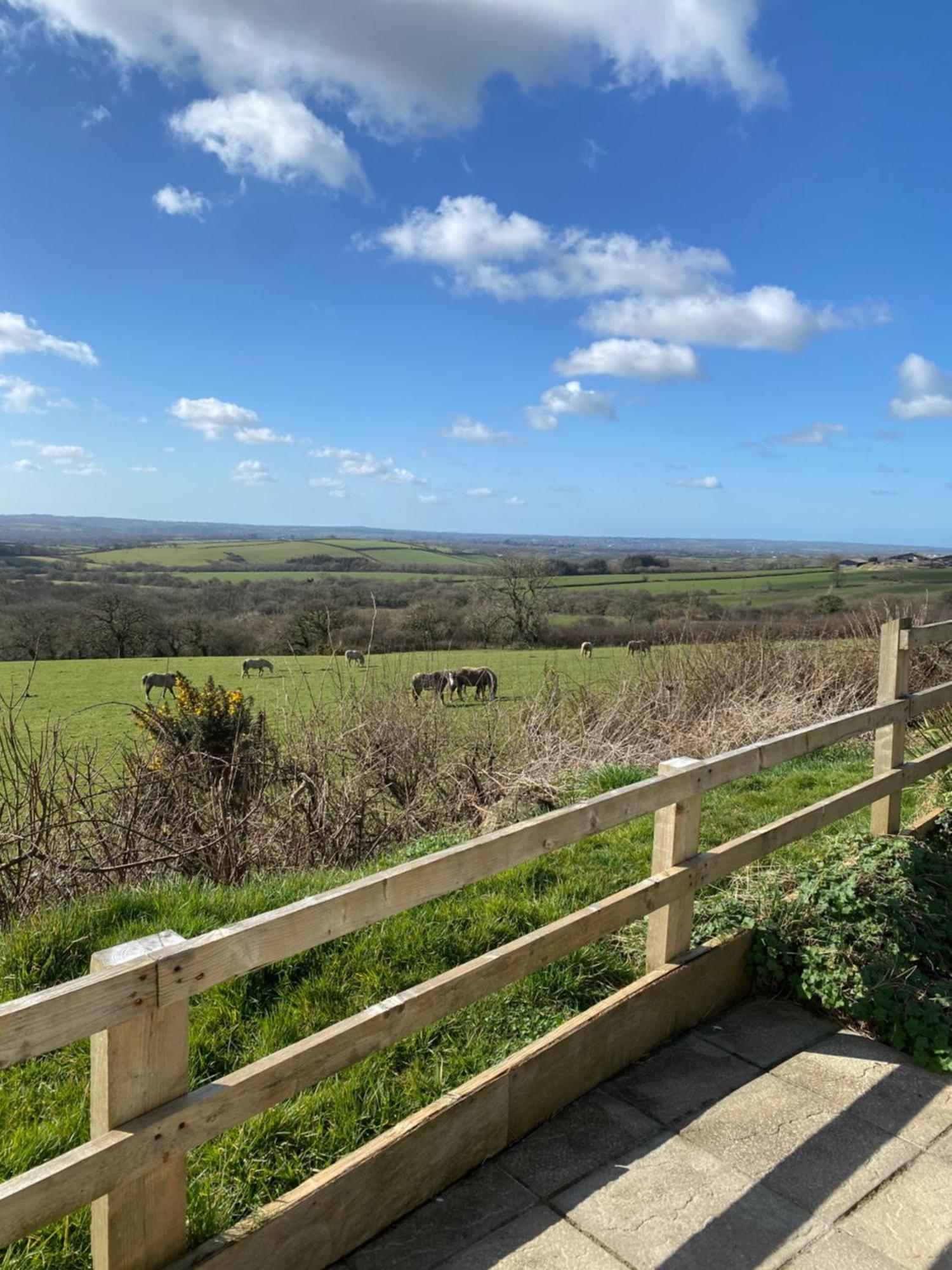 Meadow View Villa Haverfordwest Eksteriør billede